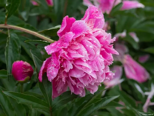 blog-1-1 blog-1-1