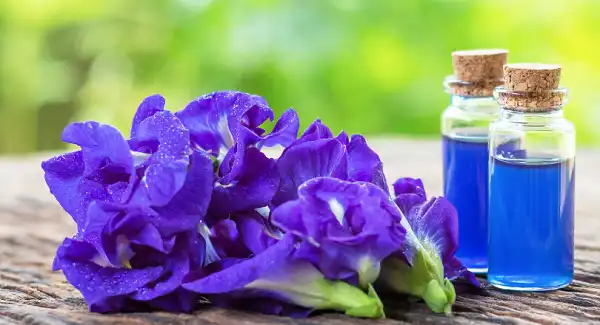 product-1-1 product-1-1